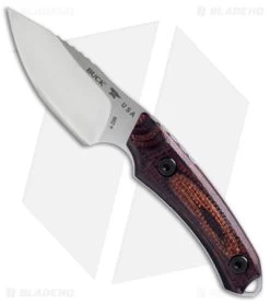 Buck Knives Buck 662 Alpha Scout Fixed Blade Knife Walnut (2.8" Satin) 0662WAS