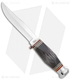 Case Cutlery Hunter Fixed Knife Black Buffalo Horn (BH65-5 SS 5" Polish) 17912