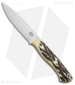 Bark River Aurora LT Fixed Blade Knife Stag Horn (4.625" CPM-3V Satin)