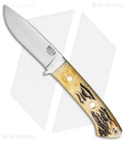 Bark River Classic Drop Point Knife Fixed Blade Stag Horn (3.75" Elmax)