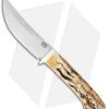 Bark River Classic Trailing Point Hunter Fixed Blade Knife Stag (4.5" Satin)